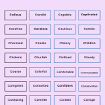Adjectives that start with c to describe a person