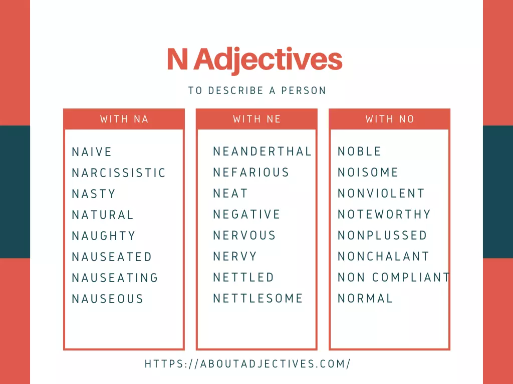 Adjectives that start with N to describe a Person