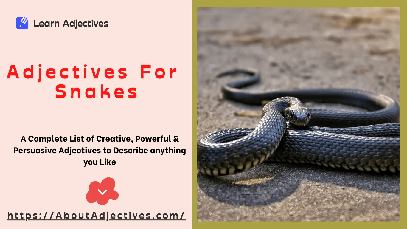 Adjectives For Snakes