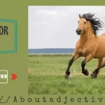 Adjectives for horse