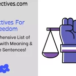 Adjectives for Freedom