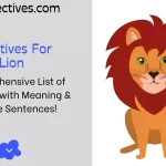 Adjectives for Lion