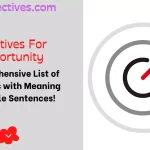 Adjectives for Opportunity
