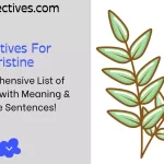 Adjectives for Pristine