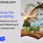 Adjectives for Responsibility