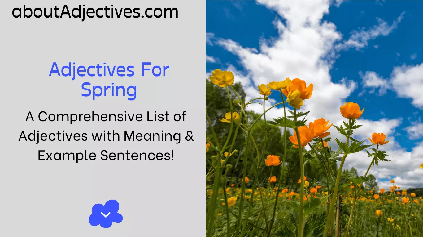 Adjectives for Spring