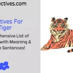 Adjectives for Tiger