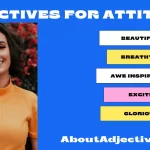 Adjectives for attitude