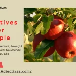 Adjectives For Apple