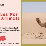 Adjectives For Desert Animals