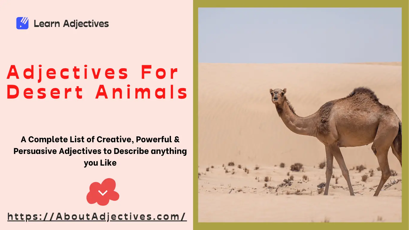 Adjectives for Desert animals | Words to Describe Desert Animals - Learn  Adjectives