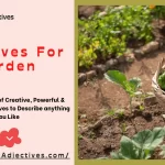 Adjectives For Garden