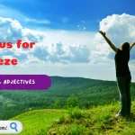 Adjectives for Breeze