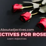 Adjectives for Rose