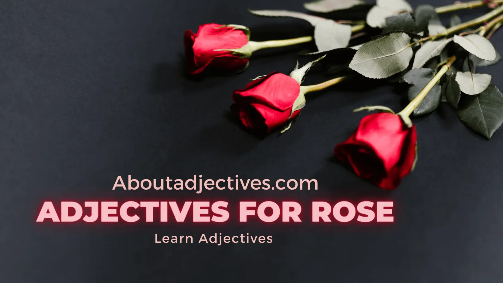 Adjectives for Rose