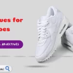 Adjectives for Shoes