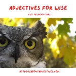 Adjectives for wisdom