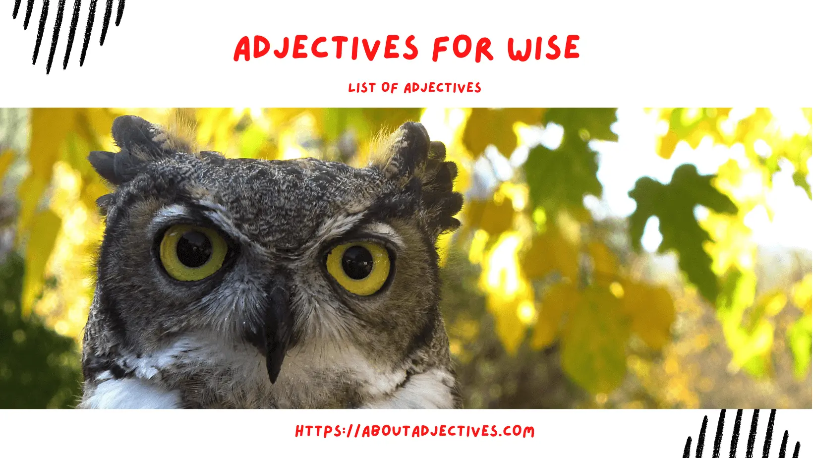 Adjectives for wisdom