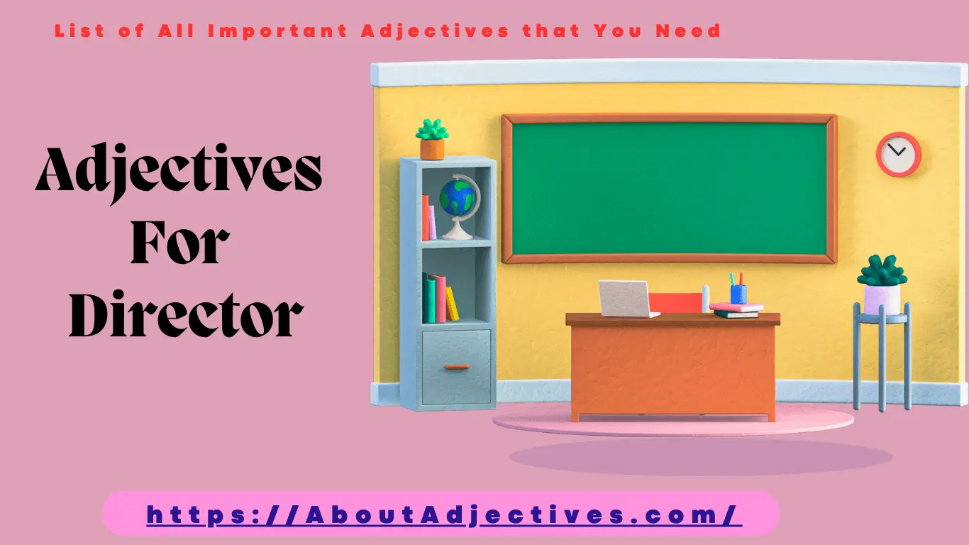 Adjectives For Director