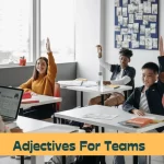 Adjectives for Teams