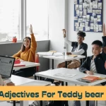 Adjectives for Teddy bear