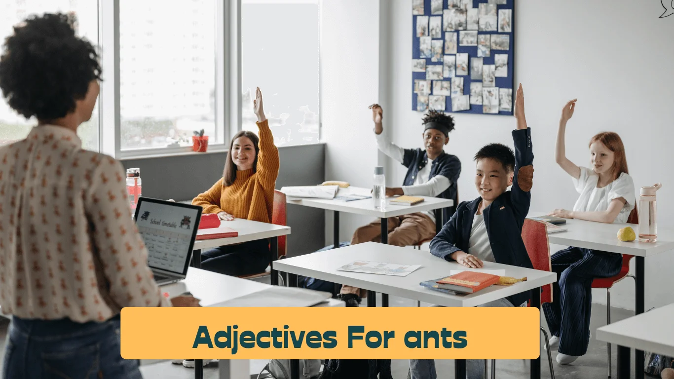 Adjectives for ants