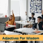 Adjectives for describing words for wisdom
