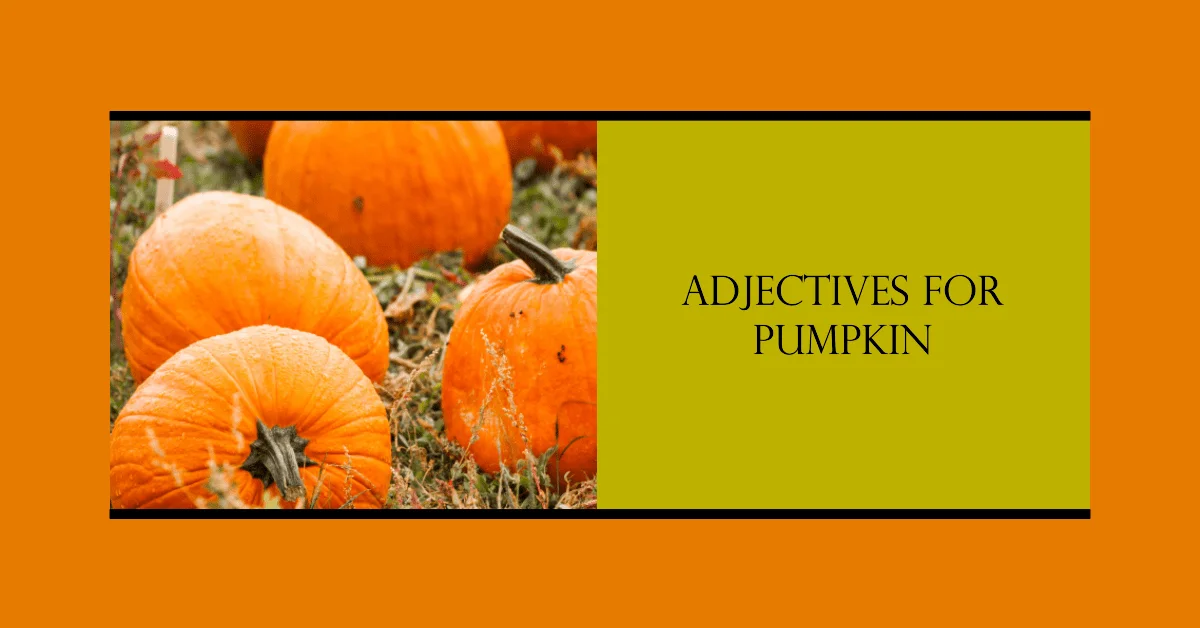 adjectives for pumpkin