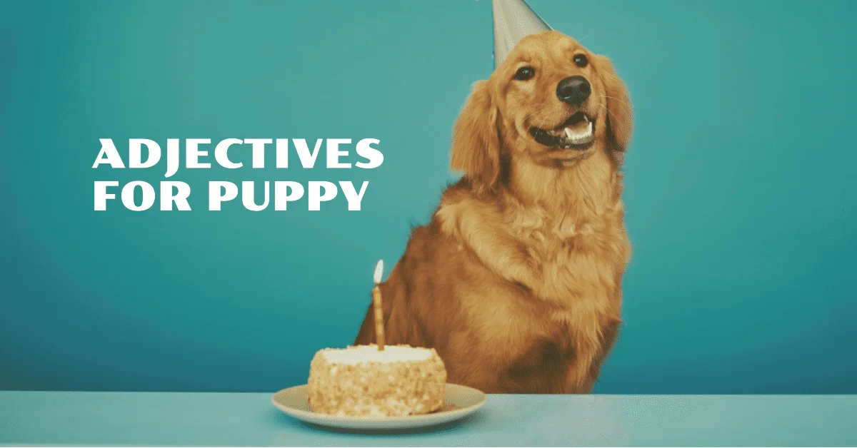adjectives for puppy