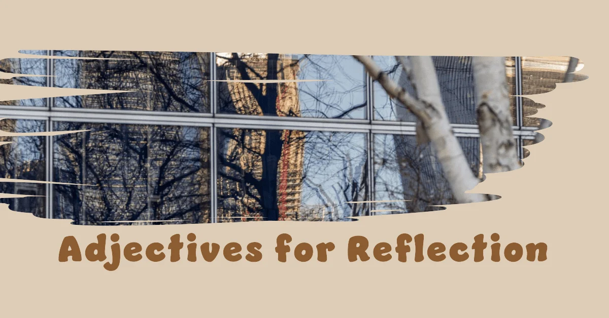 adjectives for reflection