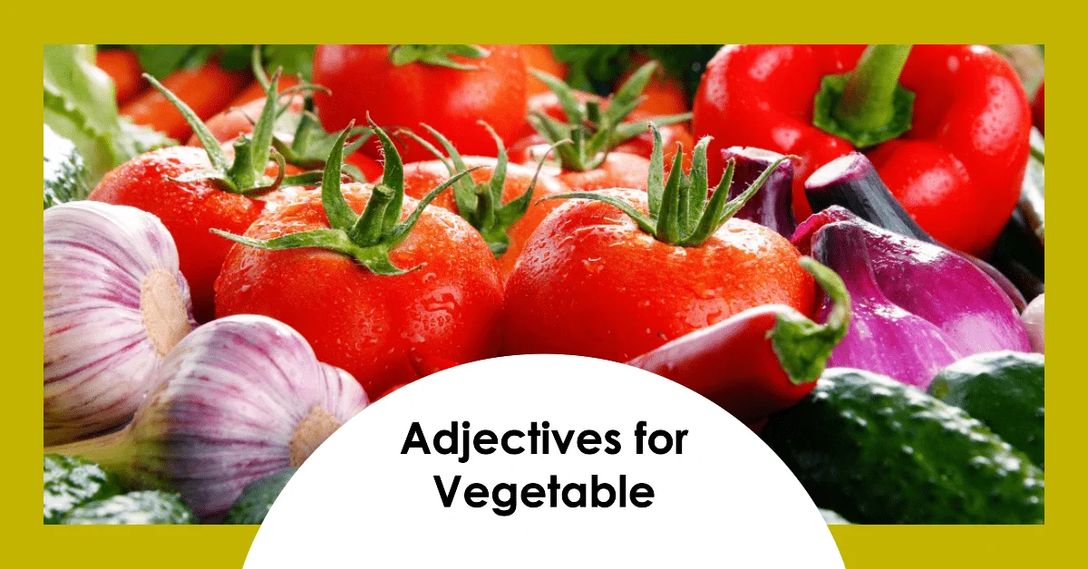 adjectives for vegetables