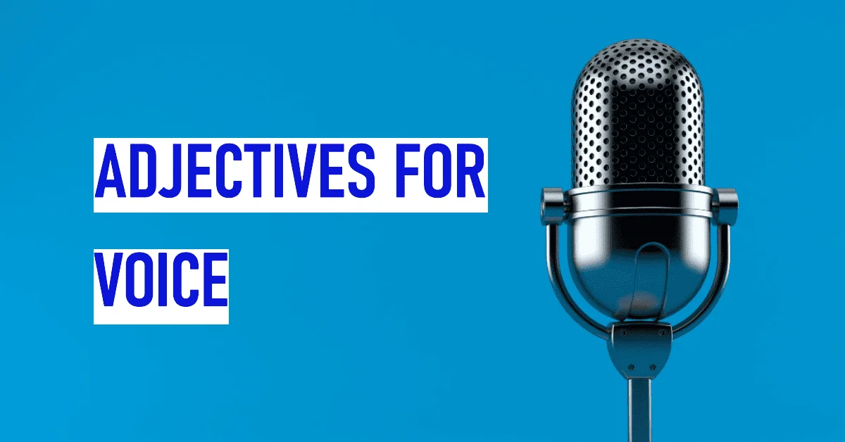 adjectives for voice