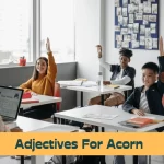 Adjectives for Acorn