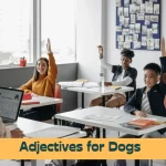 Adjectives for Dogs