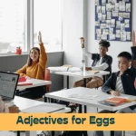 Adjectives for Eggs