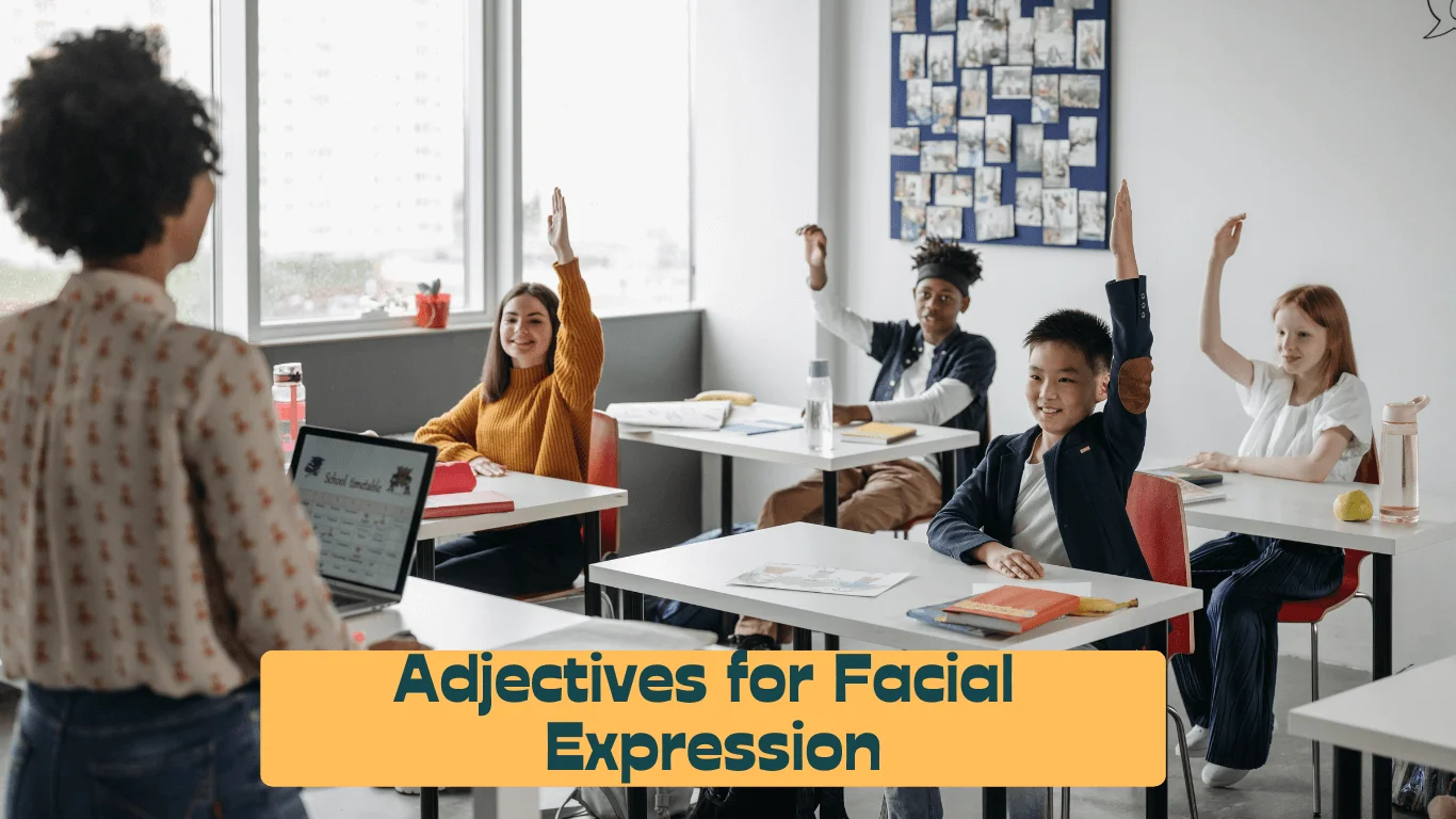 Adjectives for Facial Expression
