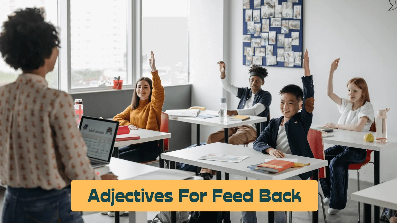 Adjectives for Feed Back