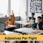 Adjectives for Fight