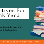 Adjectives for Back Yard
