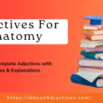 Adjectives for anatomy