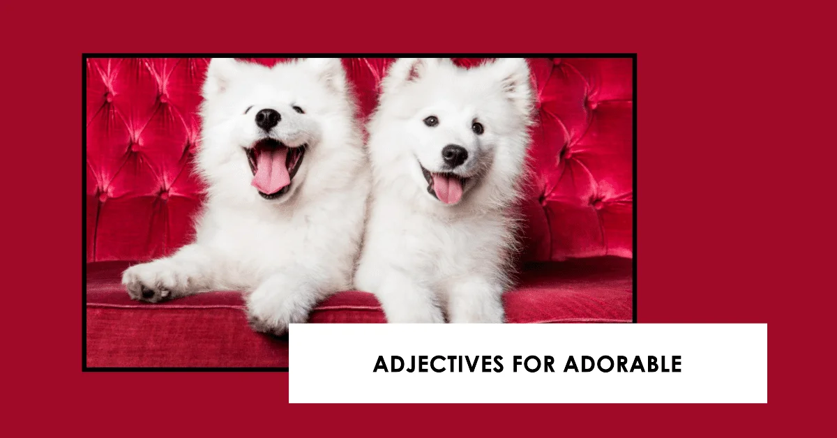 adjectives for adorable