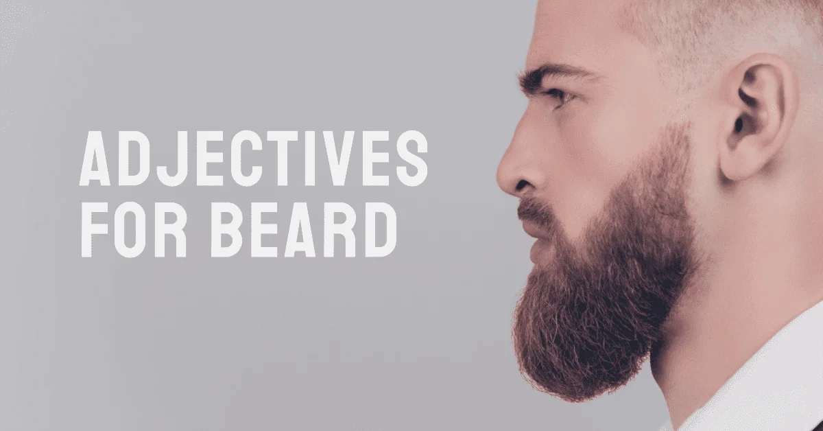 adjectives for beard