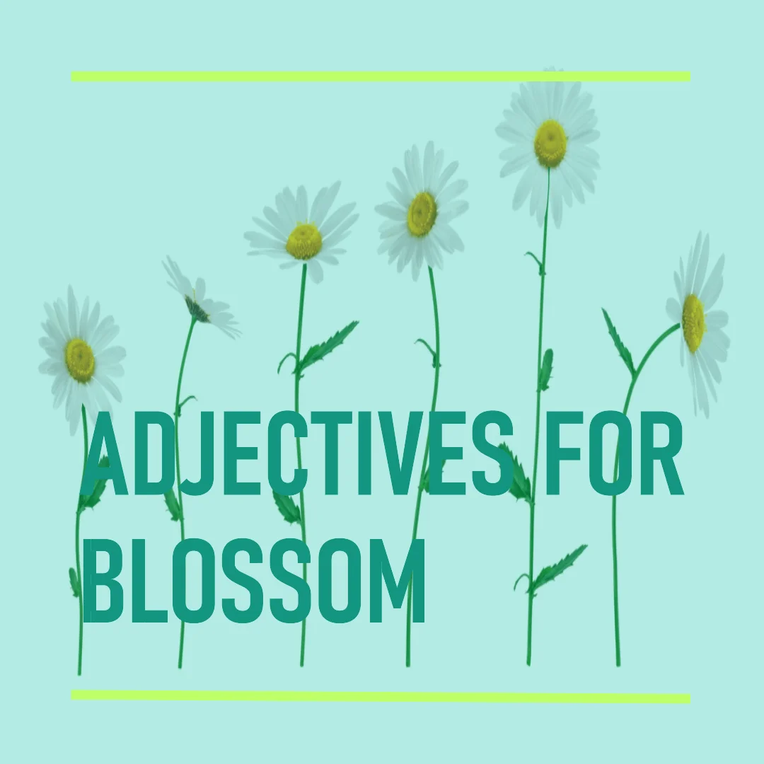 adjectives for blossom