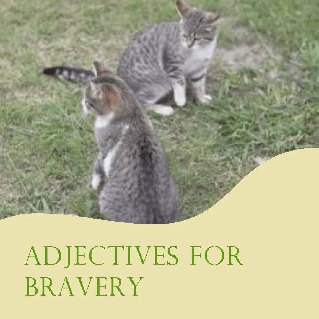 adjectives for bravery