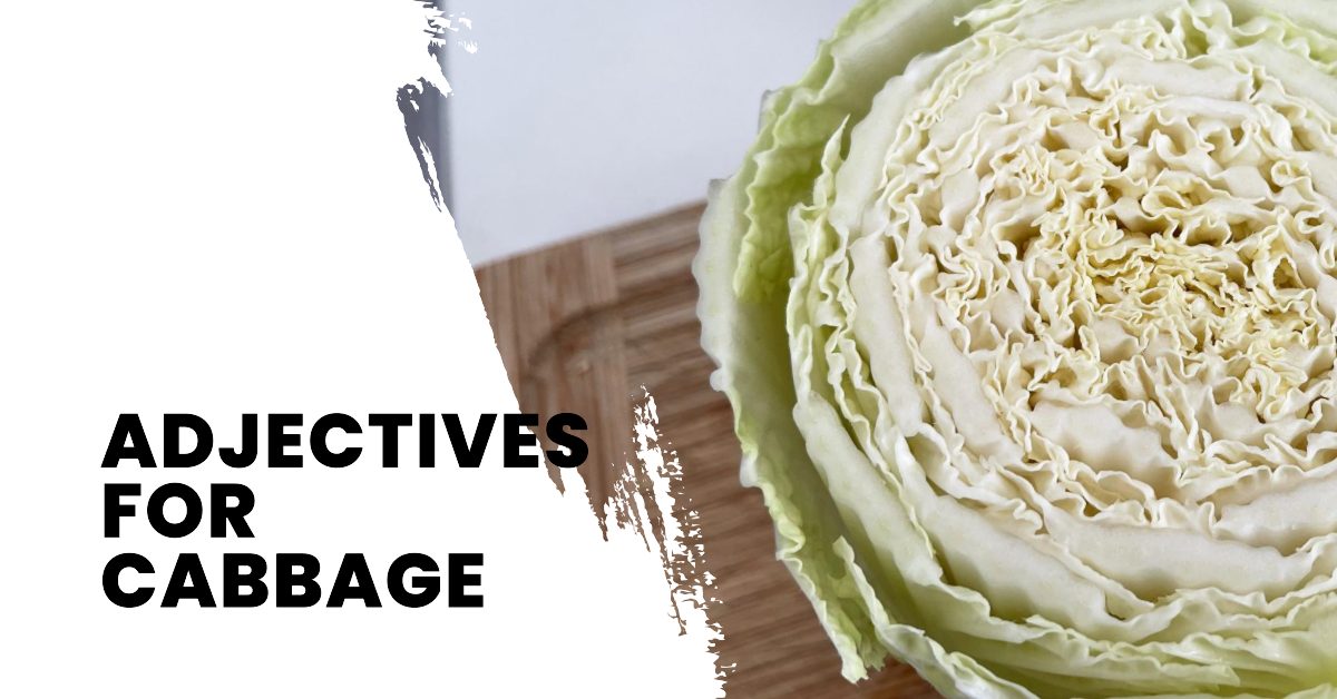 adjectives for cabbage