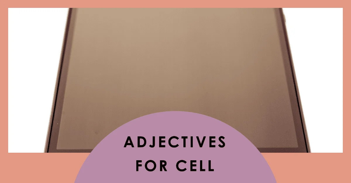 adjectives for cell