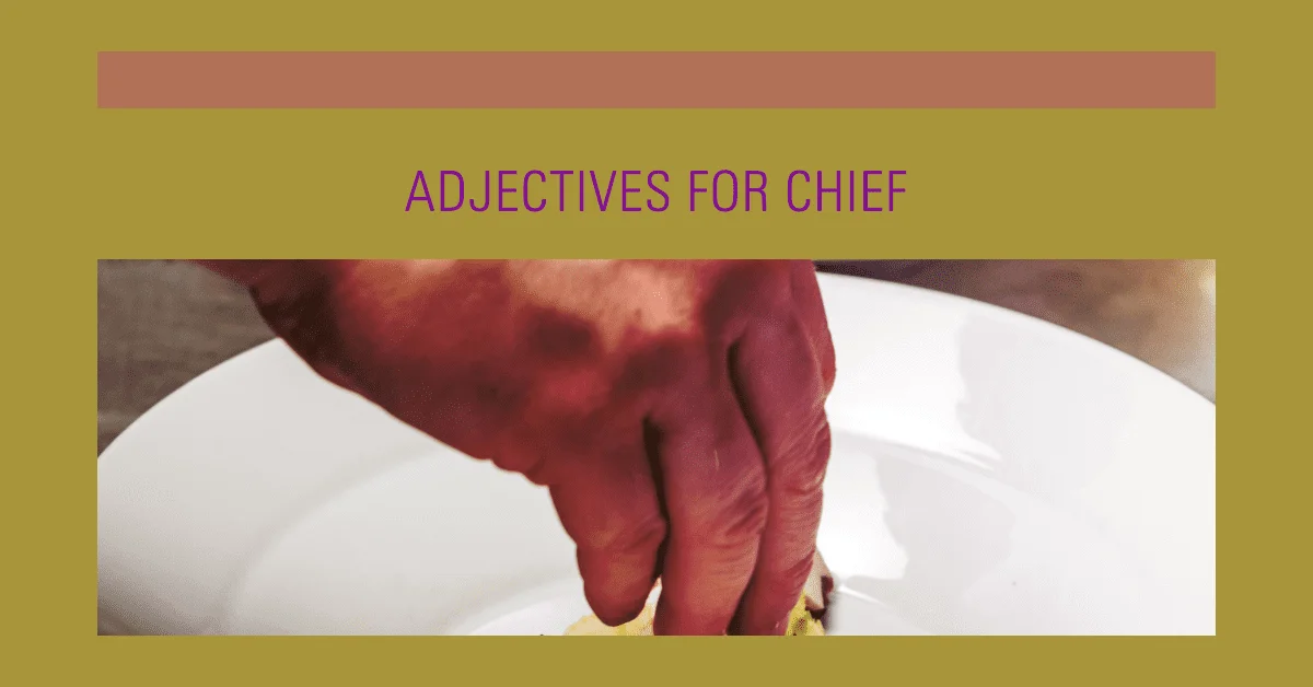 adjectives for chief