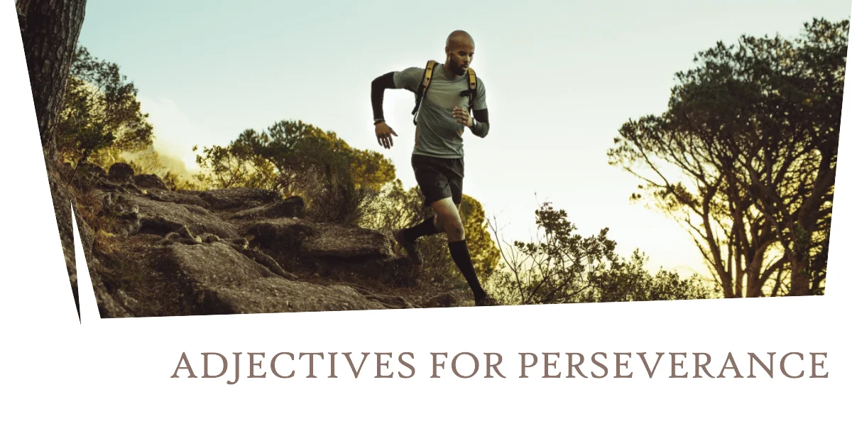 adjectives for perseverance