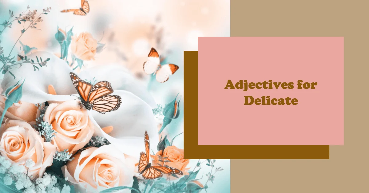 adjectives for delicate