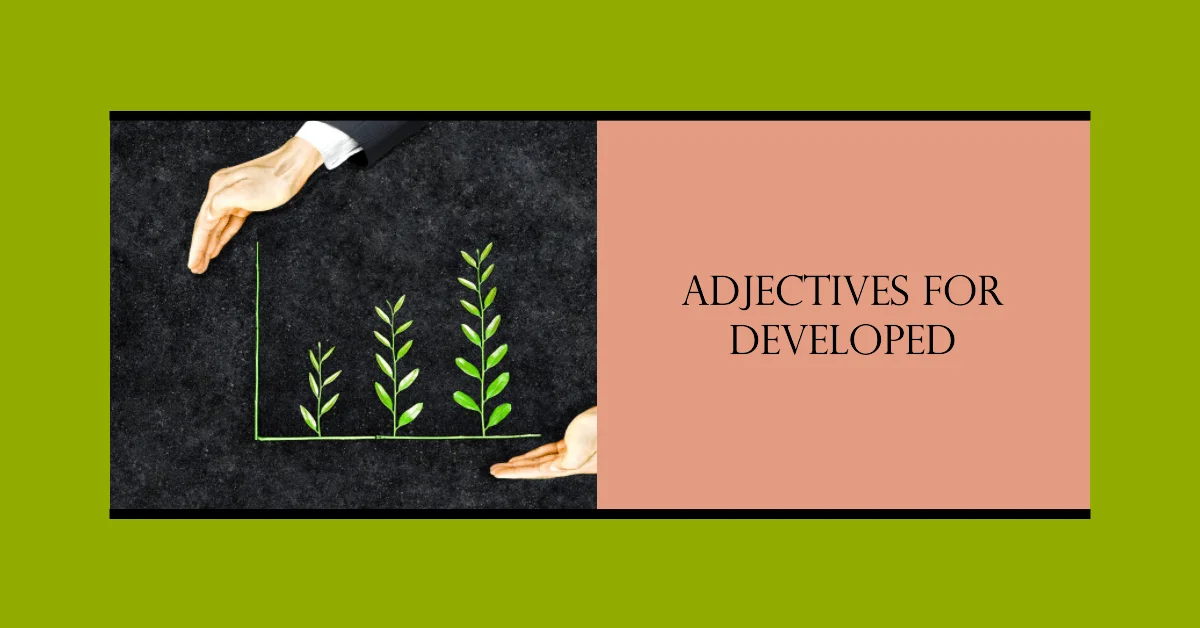 adjectives for developed